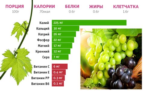 Витамины в винограде