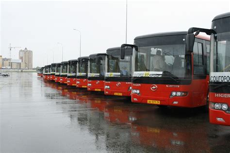 Где автобус онлайн московская область
