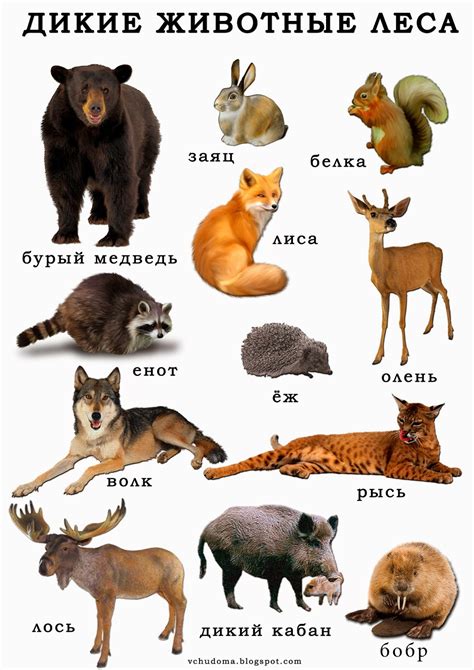 Имена животных