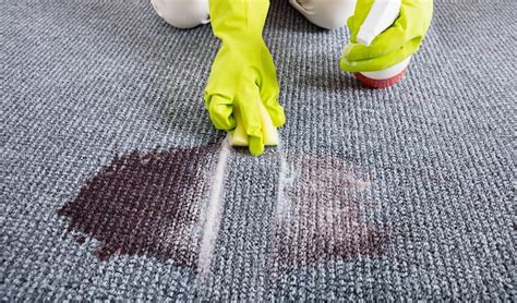 Как почистить очень грязный палас в домашних условиях быстро и эффективно