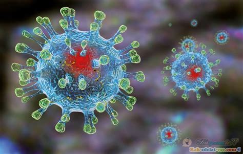Кентавр коронавирус симптомы и лечение в домашних условиях