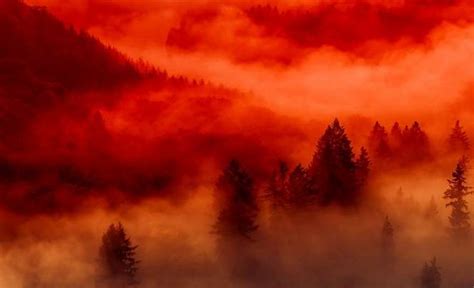 Красный туман манга