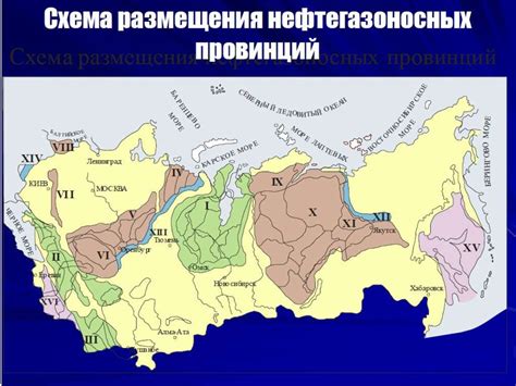 Крупные нефтегазоносные каменноугольные и буроугольные бассейны на карте россии 9 класс