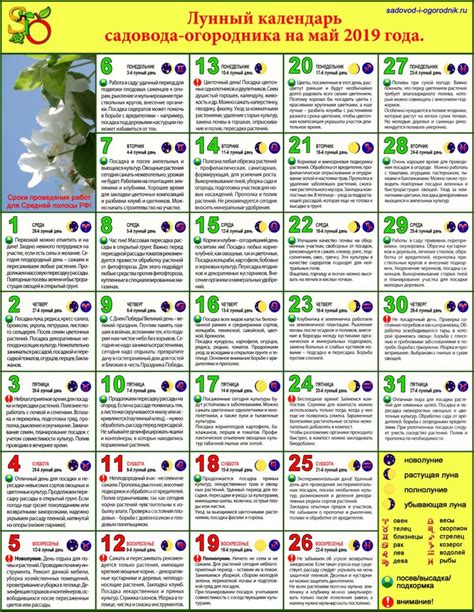 Лунный календарь на март 2023 для пересадки комнатных растений