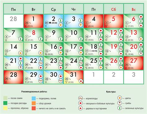 Лунный календарь на март 2023 для пересадки комнатных растений