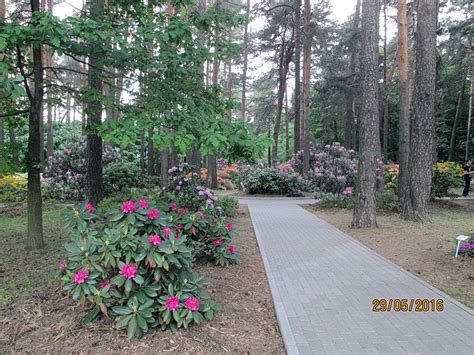 Минский ботанический сад