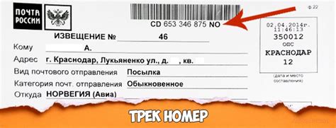 Отслеживание трек номера почта россии по номеру