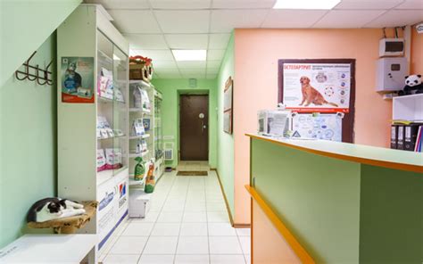 Панда ветеринарная клиника самара