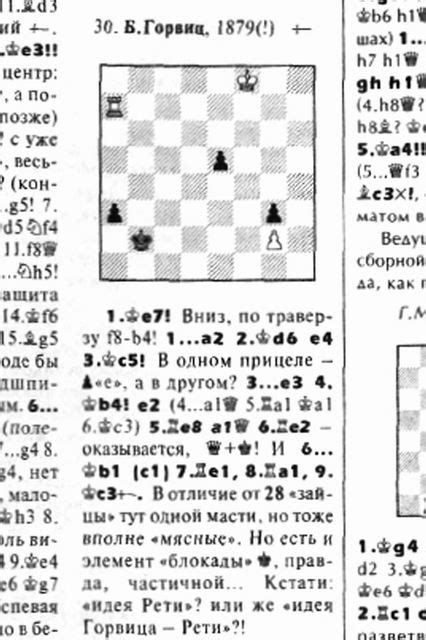 Шахматы россия