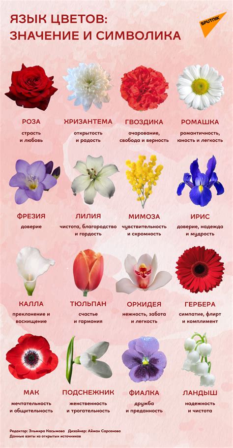 Язык цветов значение